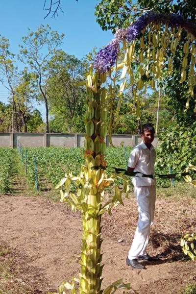 Whatsapp Image 2023 08 17 At 16.58.411