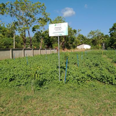 Whatsapp Image 2023 08 17 At 16.58.412