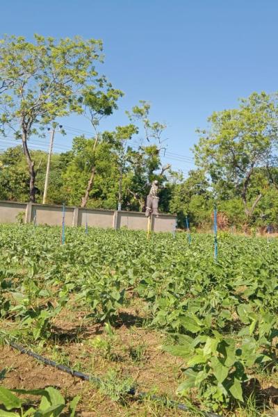 Whatsapp Image 2023 08 17 At 16.58.42