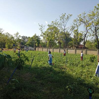 Whatsapp Image 2023 08 17 At 16.58.451