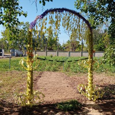 Whatsapp Image 2023 08 17 At 16.58.45