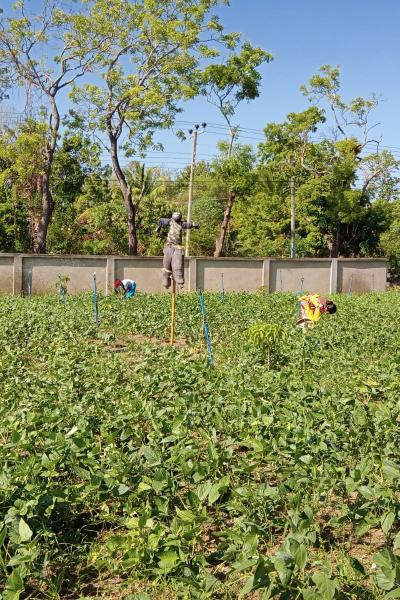 Whatsapp Image 2023 08 17 At 16.58.51