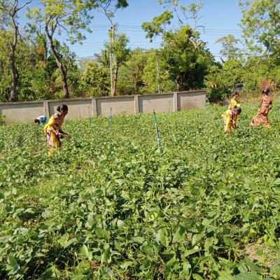 Whatsapp Image 2023 08 17 At 16.58.521