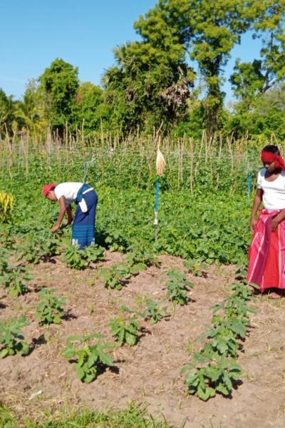 Whatsapp Image 2023 08 17 At 16.58.54