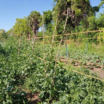 Whatsapp Image 2023 08 17 At 16.58.56