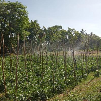 Whatsapp Image 2023 08 17 At 16.59.00